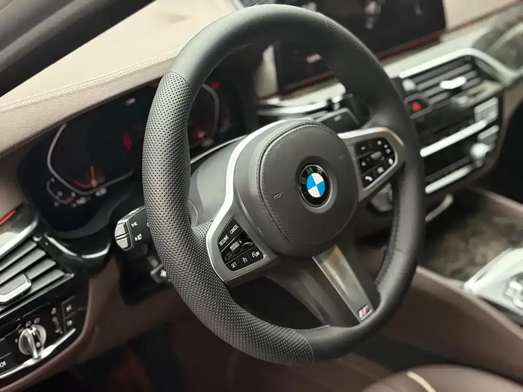 BMW 5 Series 2021 из CN, фото 10