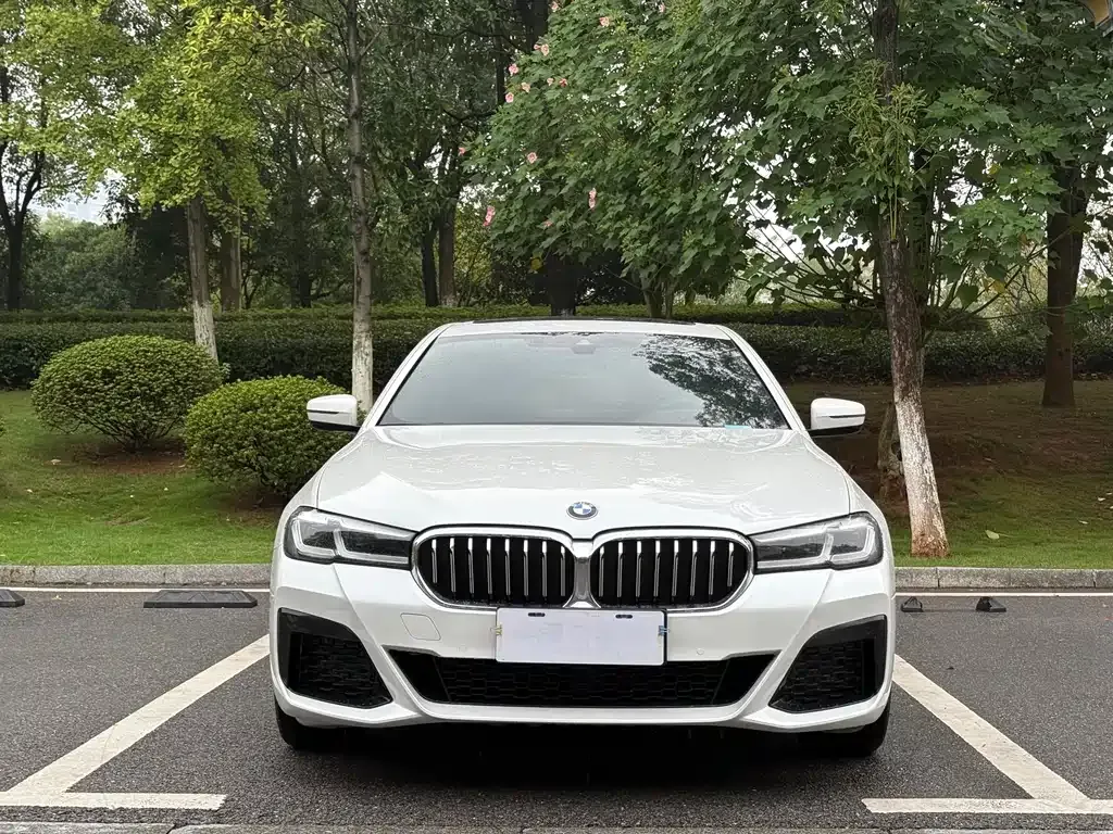 BMW 5 Series 2021 из CN, фото 2