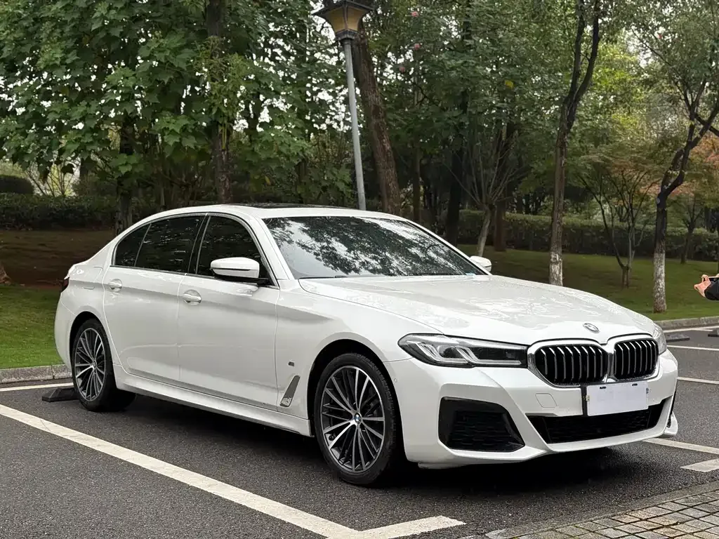 BMW 5 Series 2021 из CN, фото 3