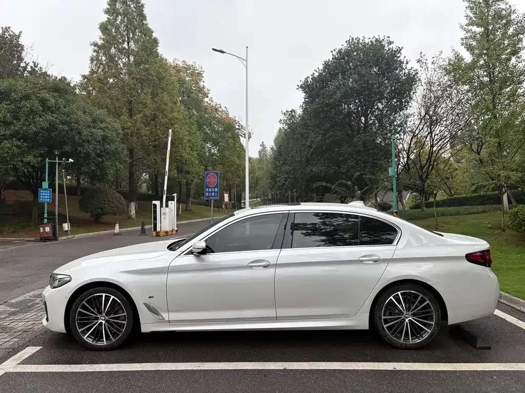 BMW 5 Series 2021 из CN, фото 4