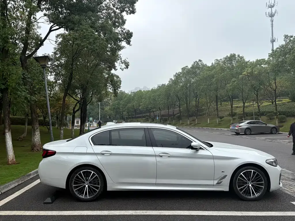BMW 5 Series 2021 из CN, фото 5