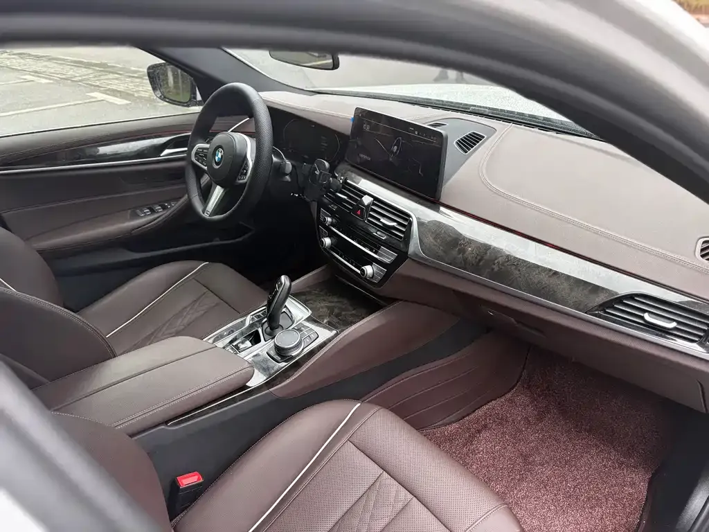 BMW 5 Series 2021 из CN, фото 6