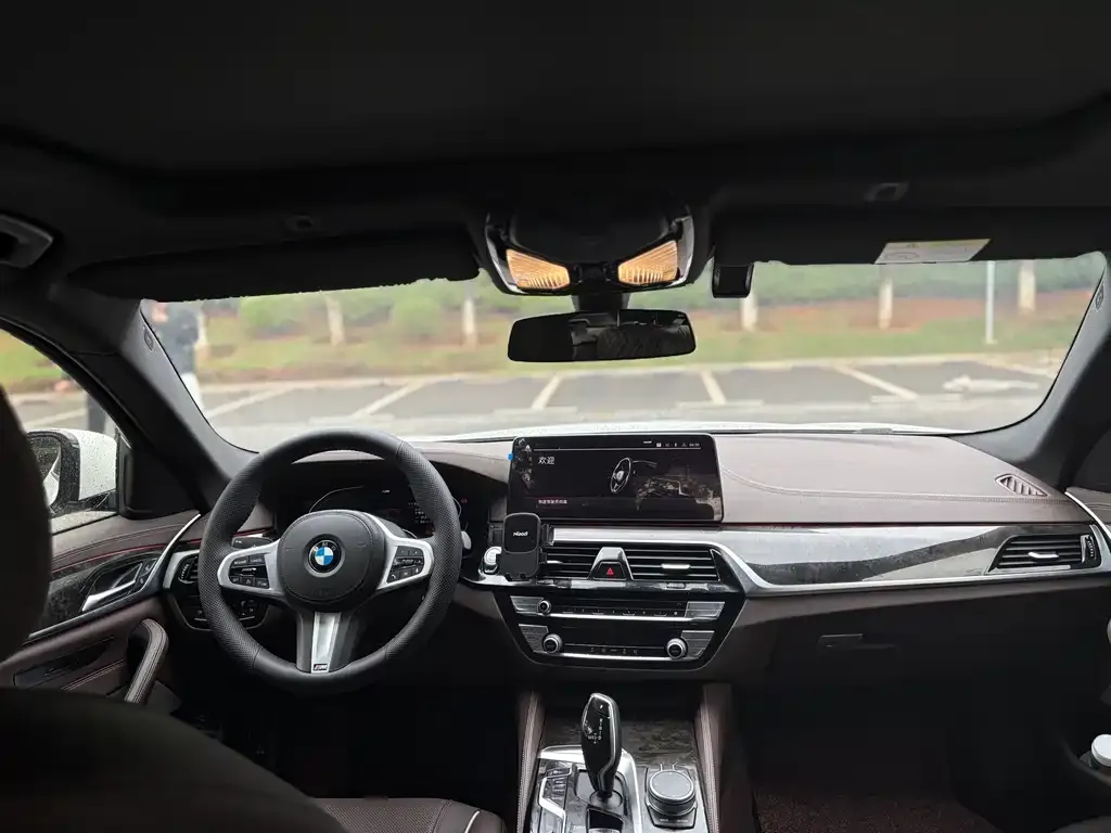 BMW 5 Series 2021 из CN, фото 7