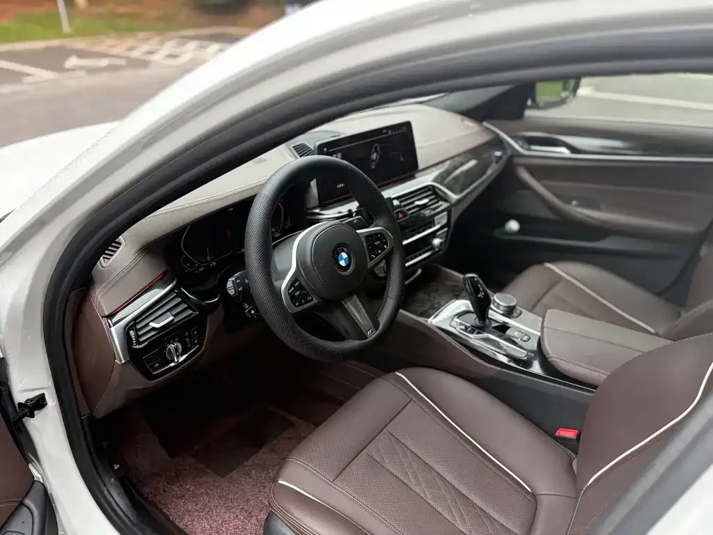 BMW 5 Series 2021 из CN, фото 9