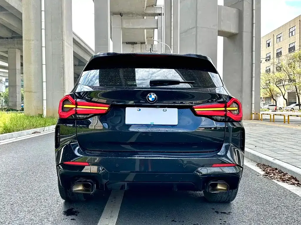 BMW X3 2022 из CN, фото 6