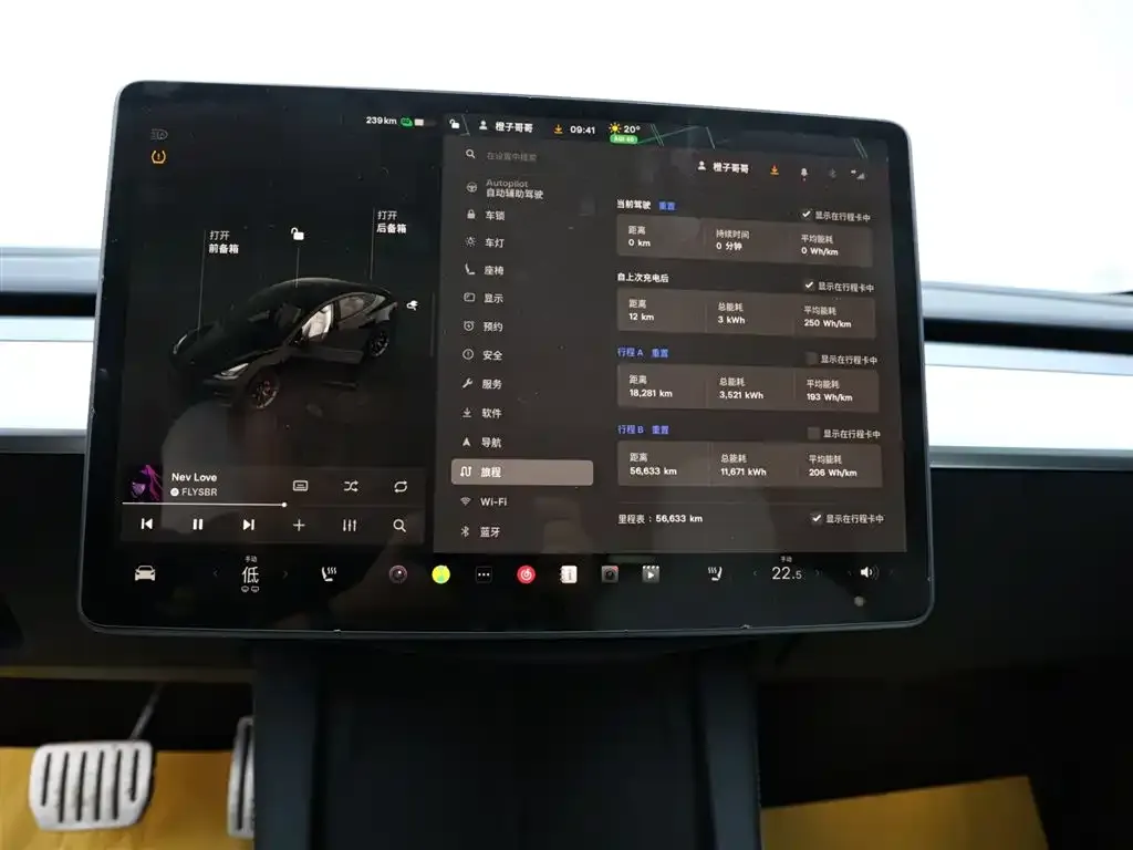 Tesla Model 3 2023 из CN, фото 9