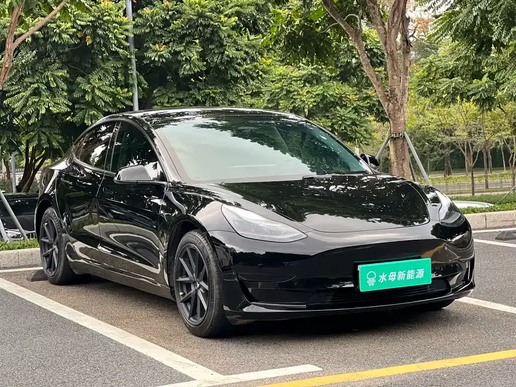 Tesla Model 3 — фото 3