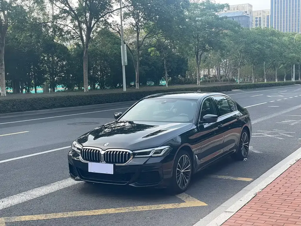 BMW 5 Series 2023 из CN, фото 1