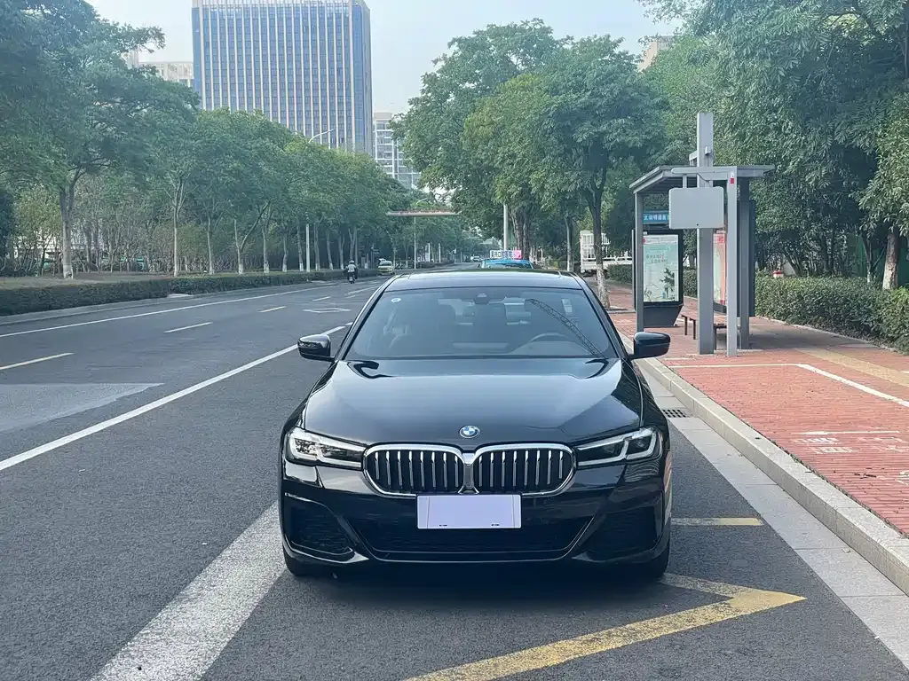 BMW 5 Series 2023 из CN, фото 2