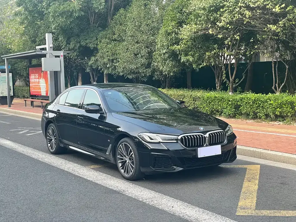 BMW 5 Series 2023 из CN, фото 3