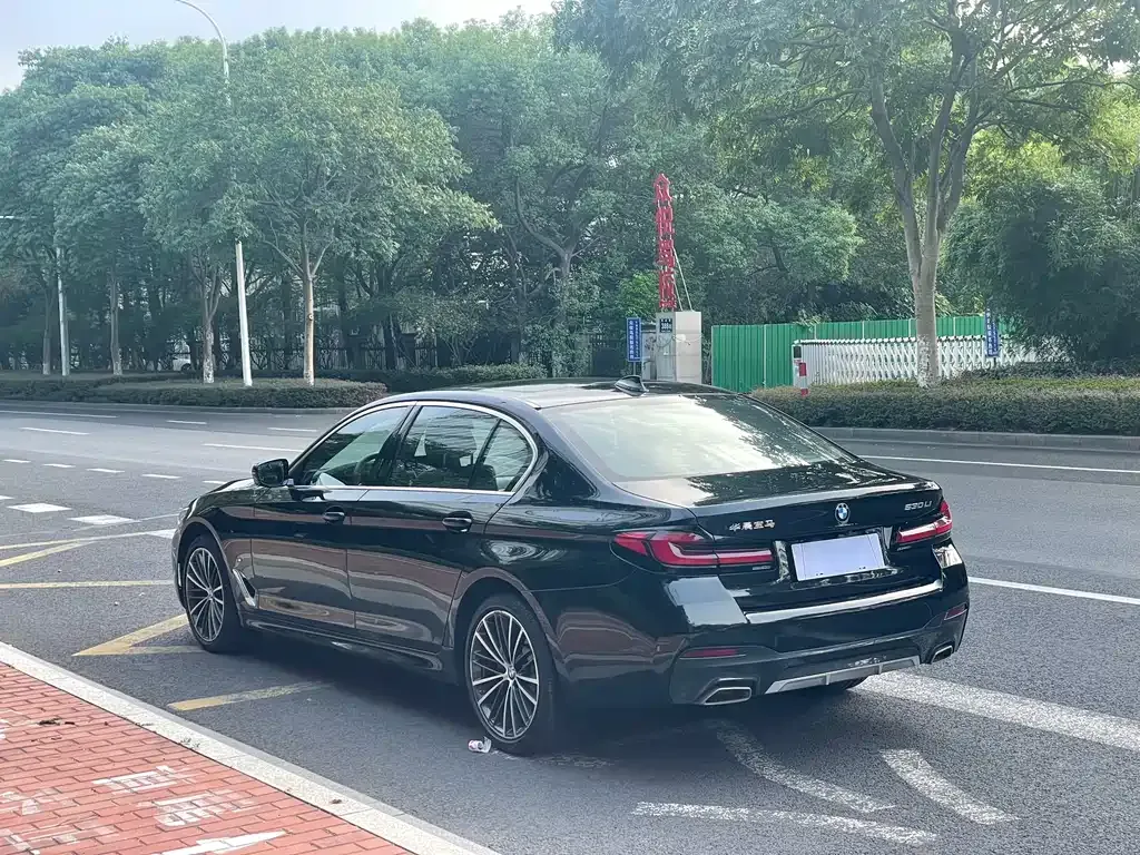 BMW 5 Series 2023 из CN, фото 4
