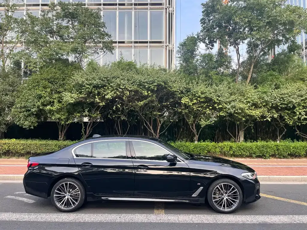 BMW 5 Series 2023 из CN, фото 7