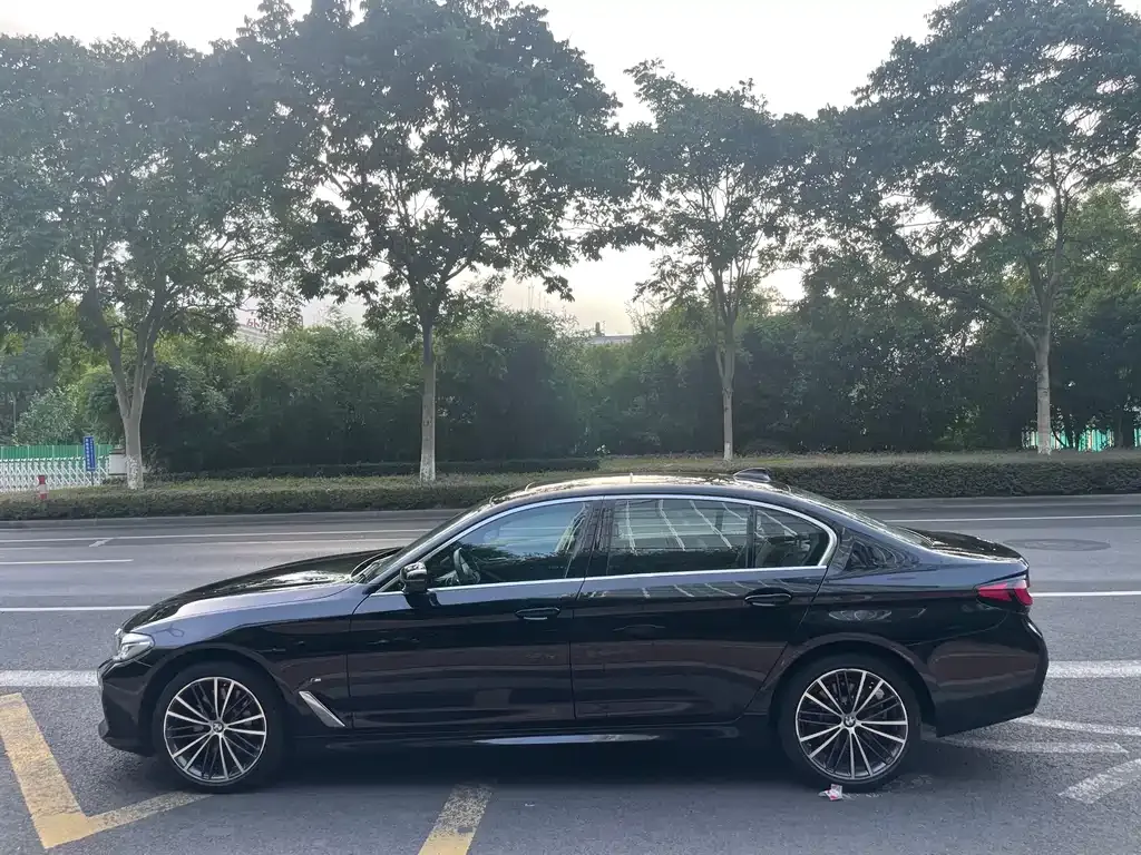 BMW 5 Series 2023 из CN, фото 8