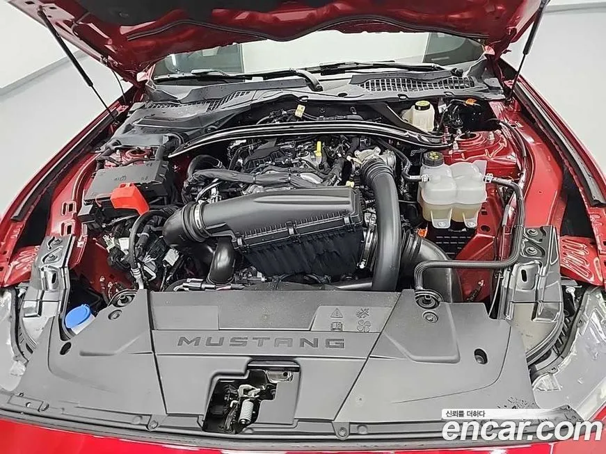 Ford Mustang 2024 из KR, фото 5