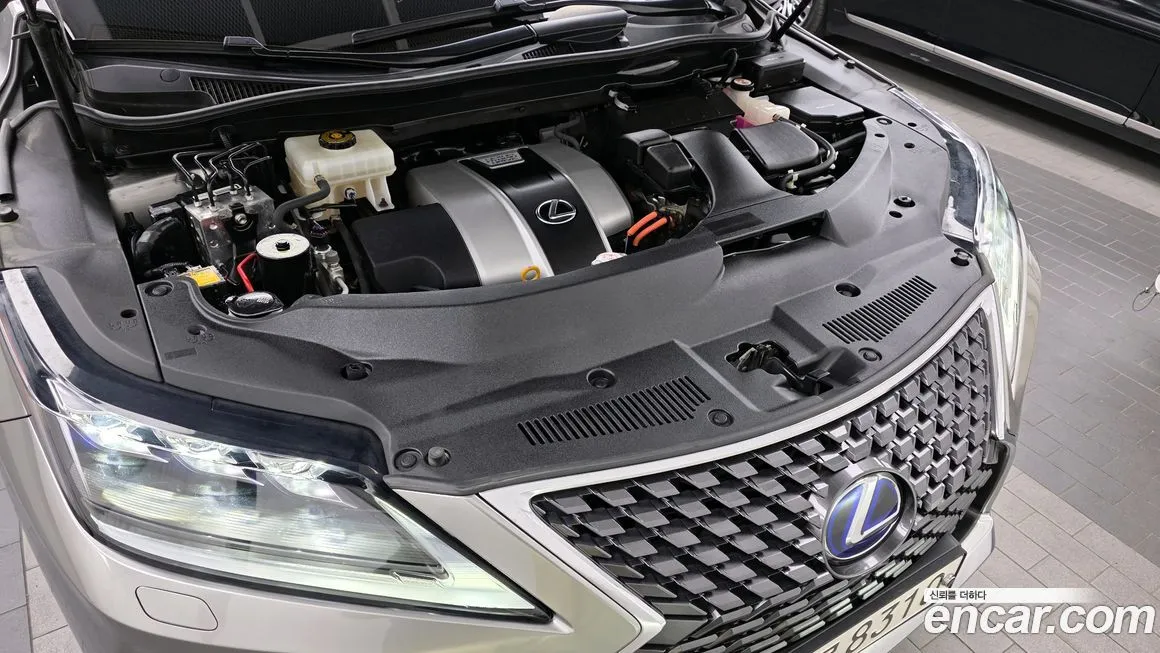 Lexus RX 2021 из KR, фото 6