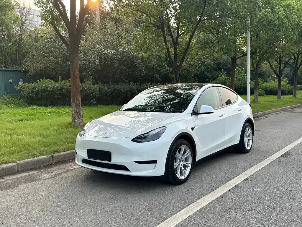 Tesla Model Y 2021 из CN, фото 1