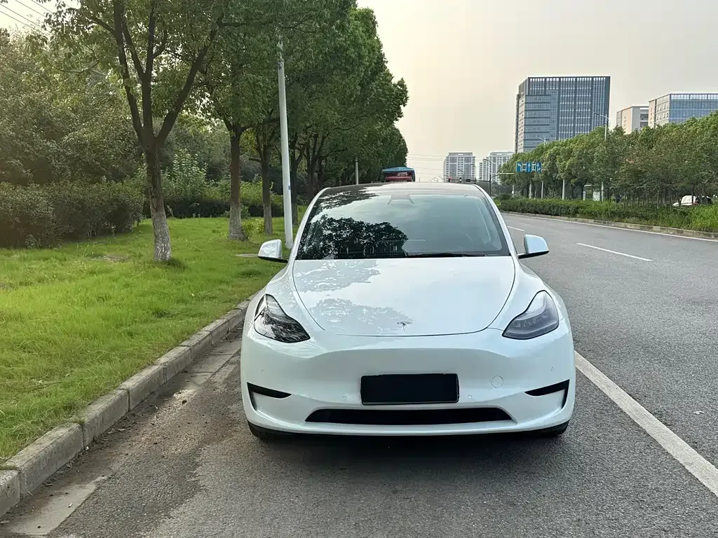 Tesla Model Y 2021 из CN, фото 2