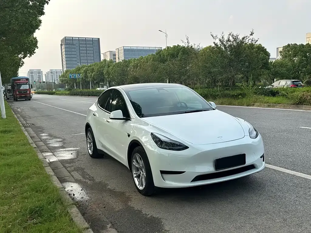 Tesla Model Y 2021 из CN, фото 3