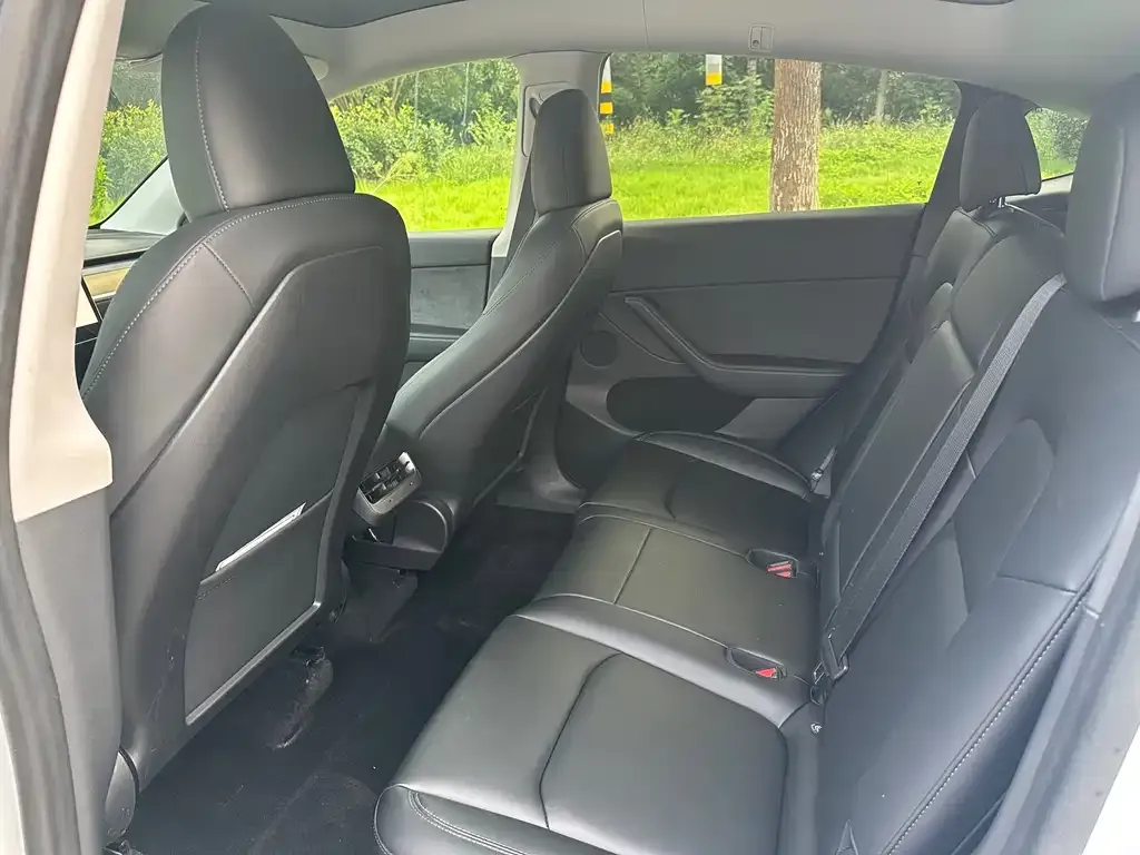 Tesla Model Y 2021 из CN, фото 4