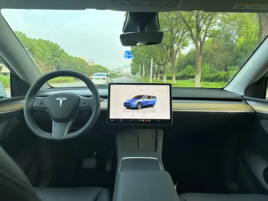 Tesla Model Y 2021 из CN, фото 5