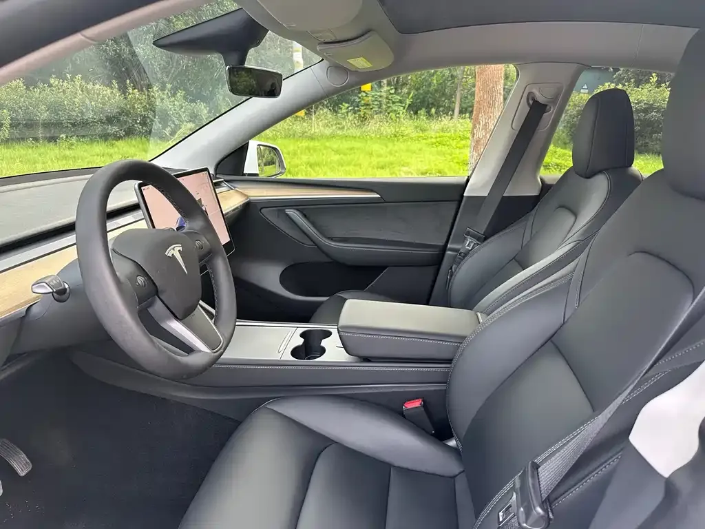 Tesla Model Y 2021 из CN, фото 6