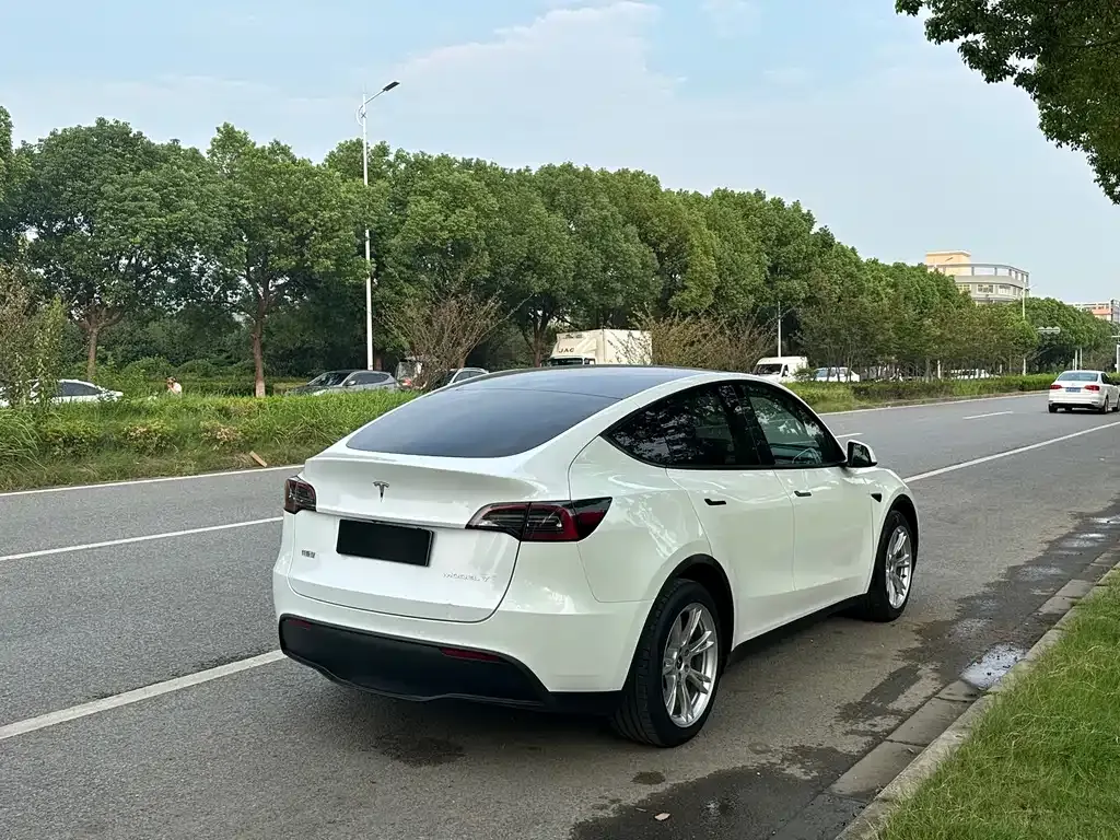 Tesla Model Y 2021 из CN, фото 7