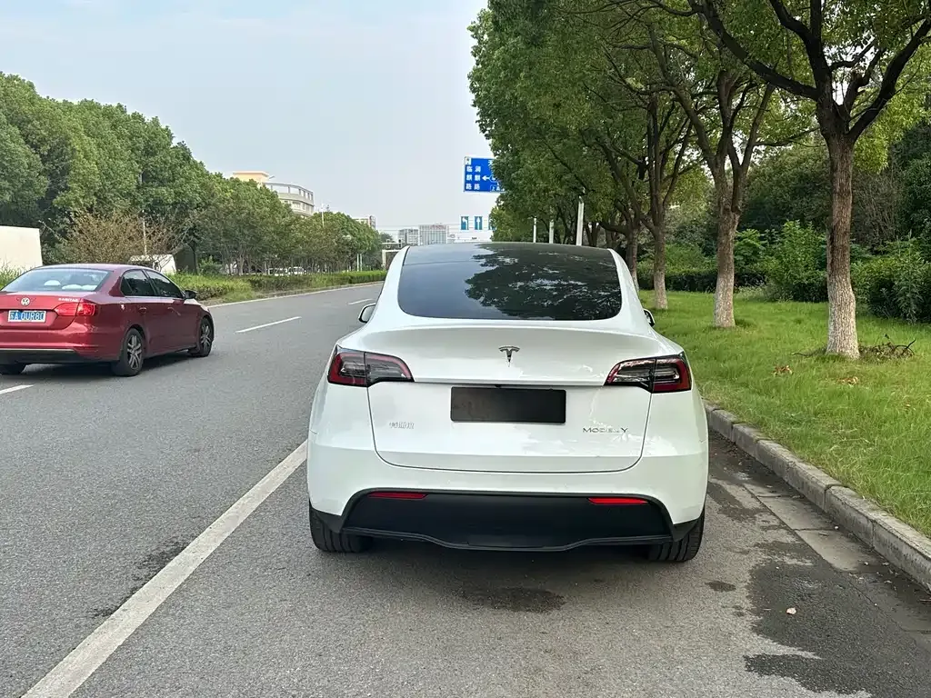 Tesla Model Y 2021 из CN, фото 8