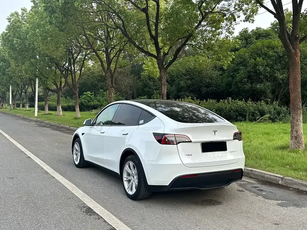 Tesla Model Y 2021 из CN, фото 9