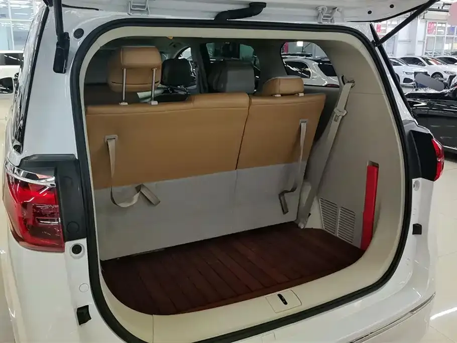 Buick GL8 2021 из CN, фото 4