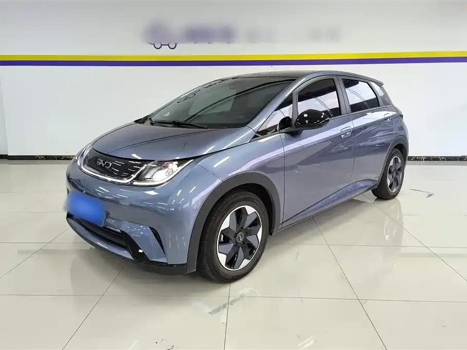 BYD Dolphin 2024 из CN, фото 2