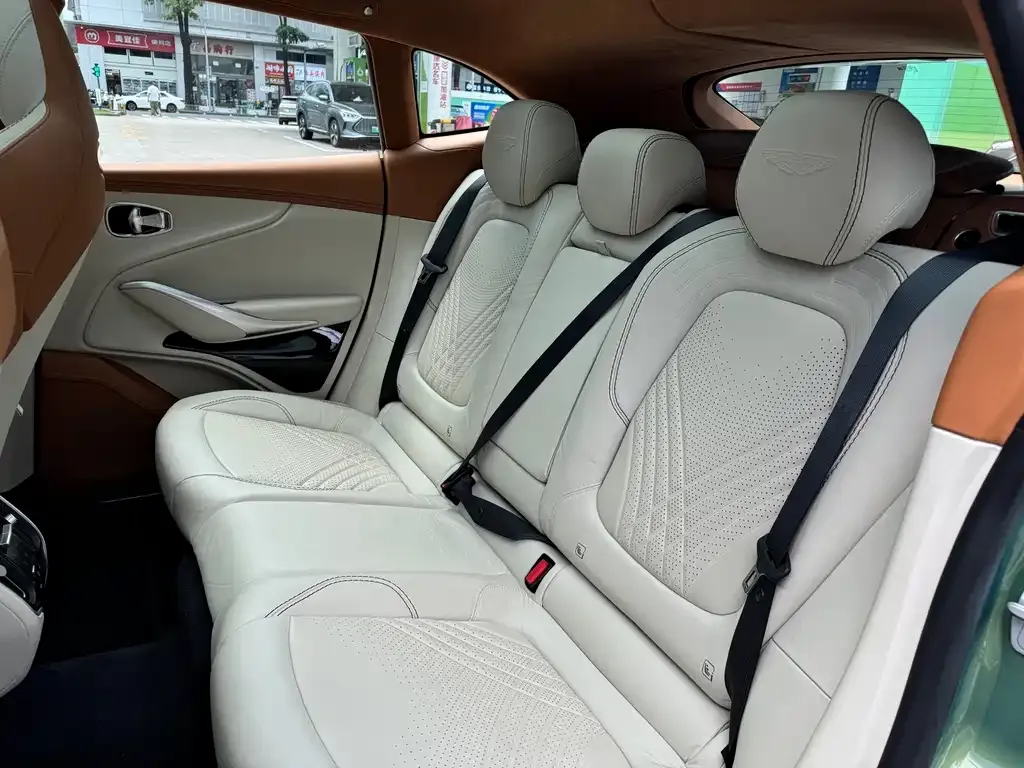Aston Martin DBX 2022 из CN, фото 2