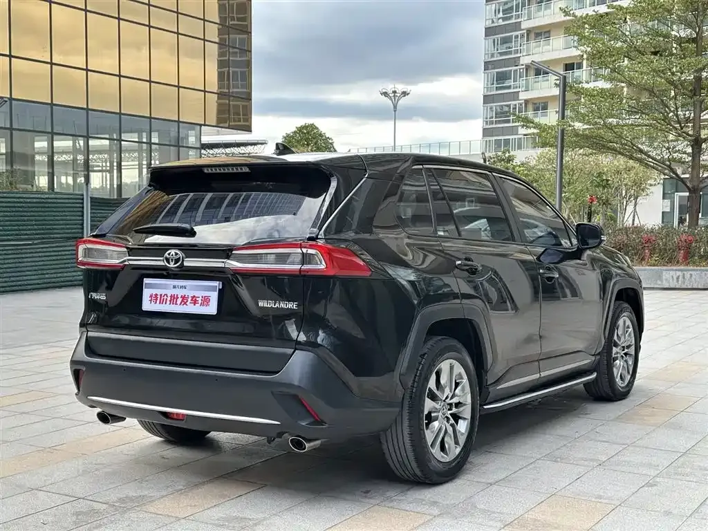 [object Object] Wildlander 2022 из CN, фото 4