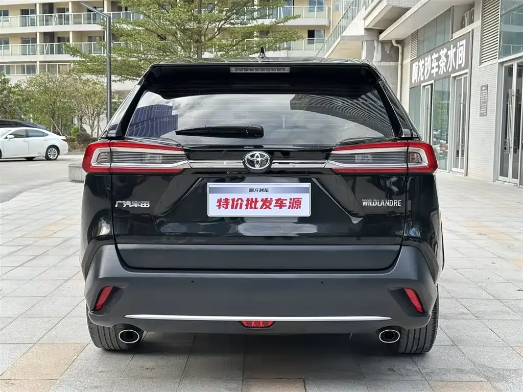 [object Object] Wildlander 2022 из CN, фото 5