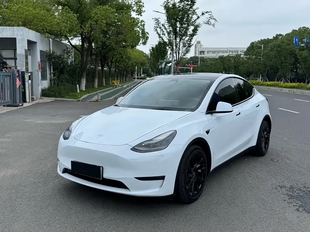 Tesla Model Y — фото 1