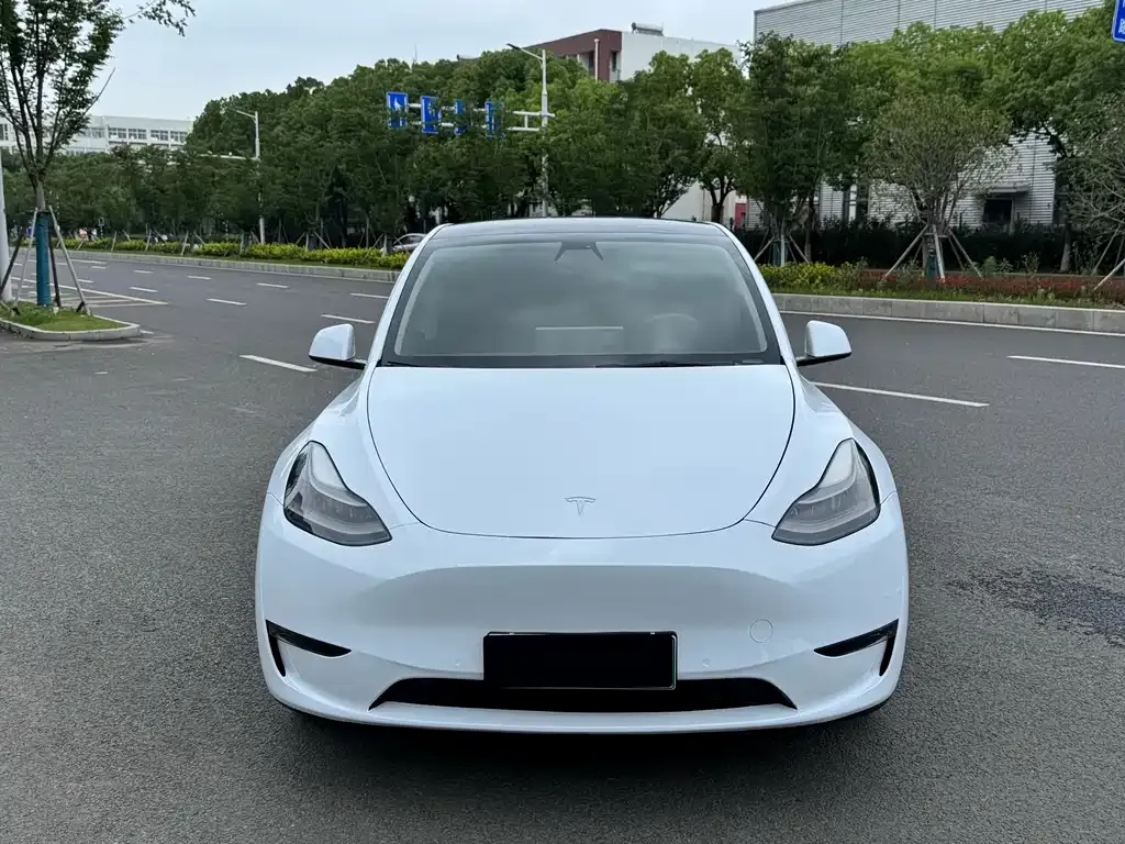 Tesla Model Y — фото 2