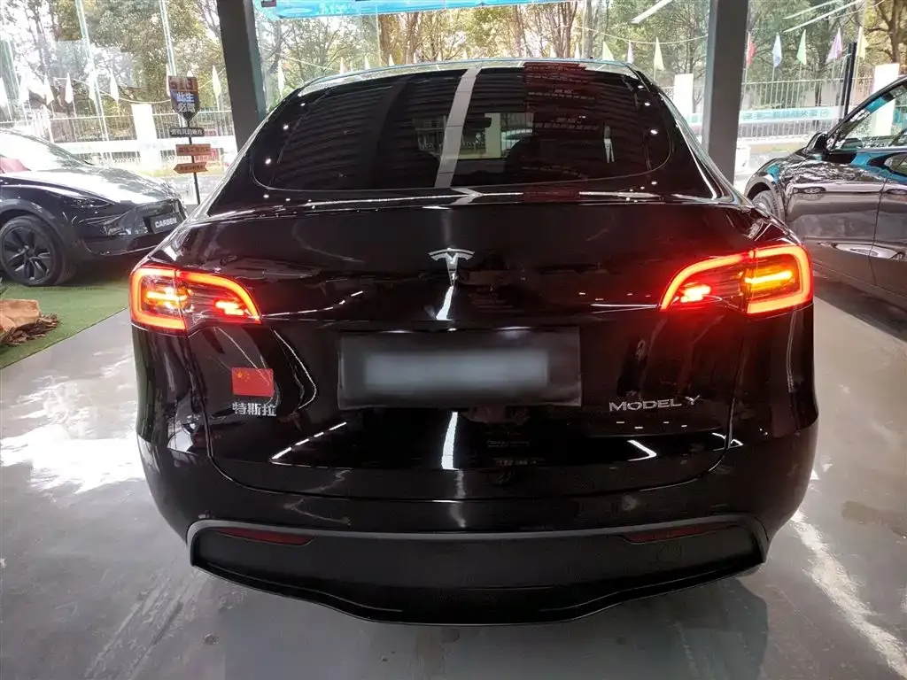 Tesla Model Y 2023 из CN, фото 6