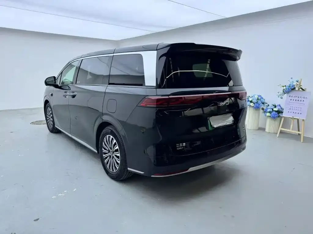BYD Xia 2025 из CN, фото 8