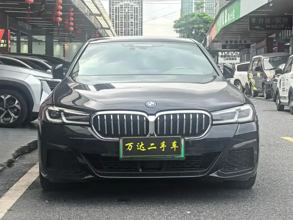 BMW 5 Series New Energy 2022 из CN, фото 2