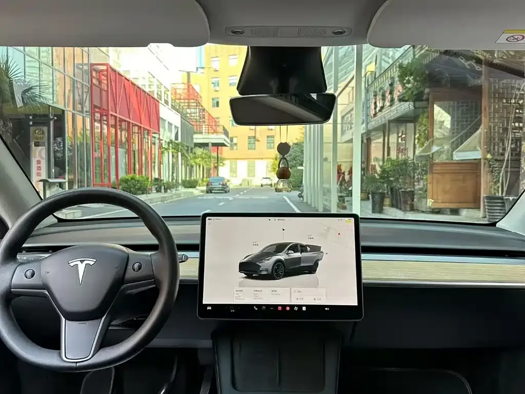 Tesla Model Y 2023 из CN, фото 7