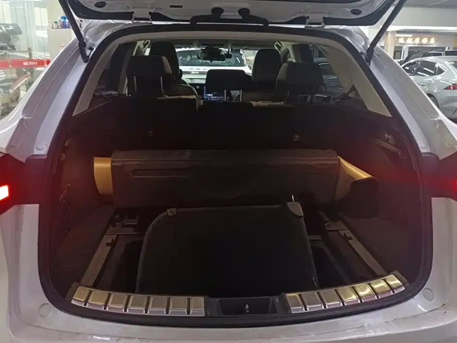 Lexus NX 2022 из CN, фото 4