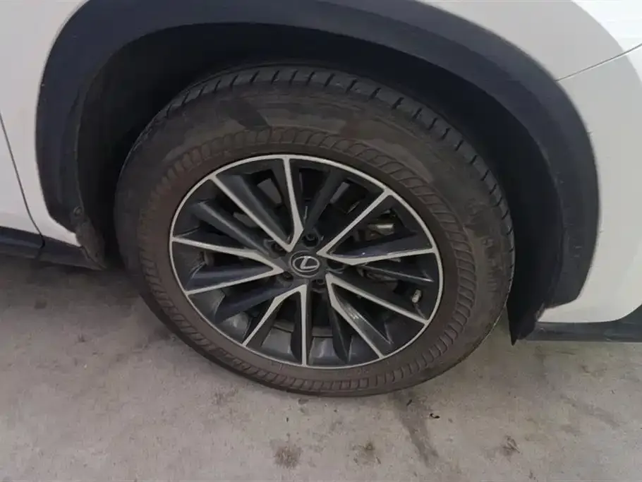 Lexus NX 2022 из CN, фото 6