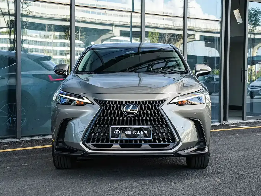 Lexus NX 2023 из CN, фото 2