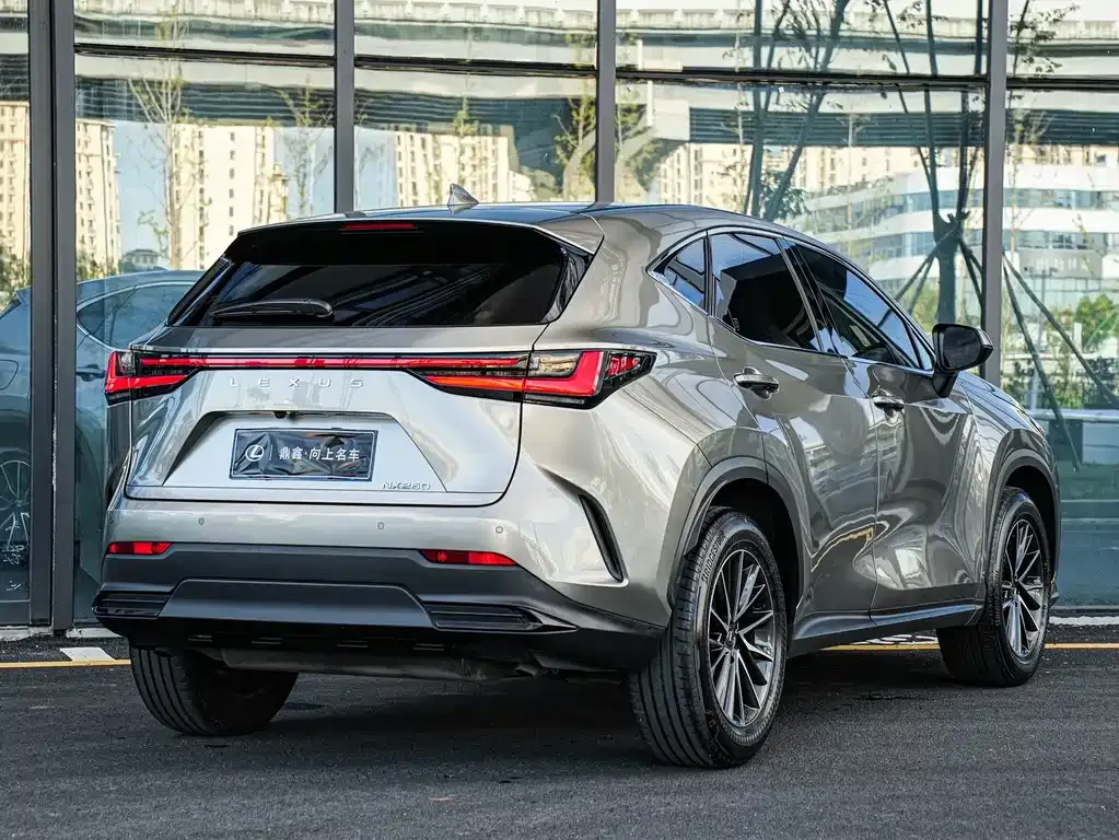 Lexus NX 2023 из CN, фото 4