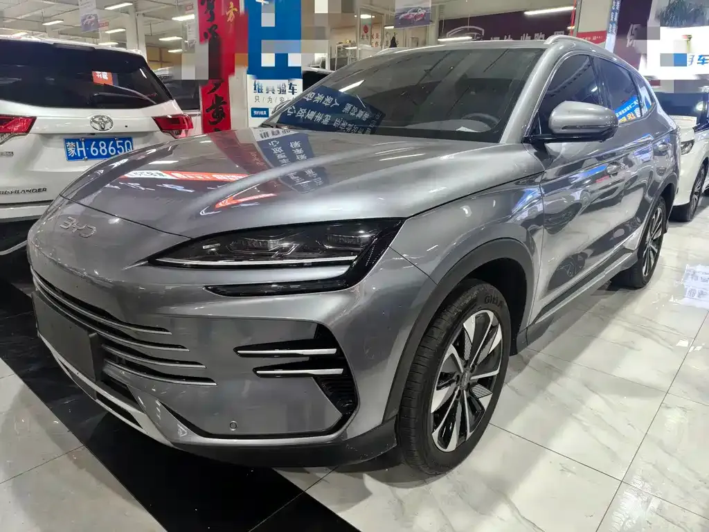 BYD PLUS New Energy 2024 из CN, фото 1