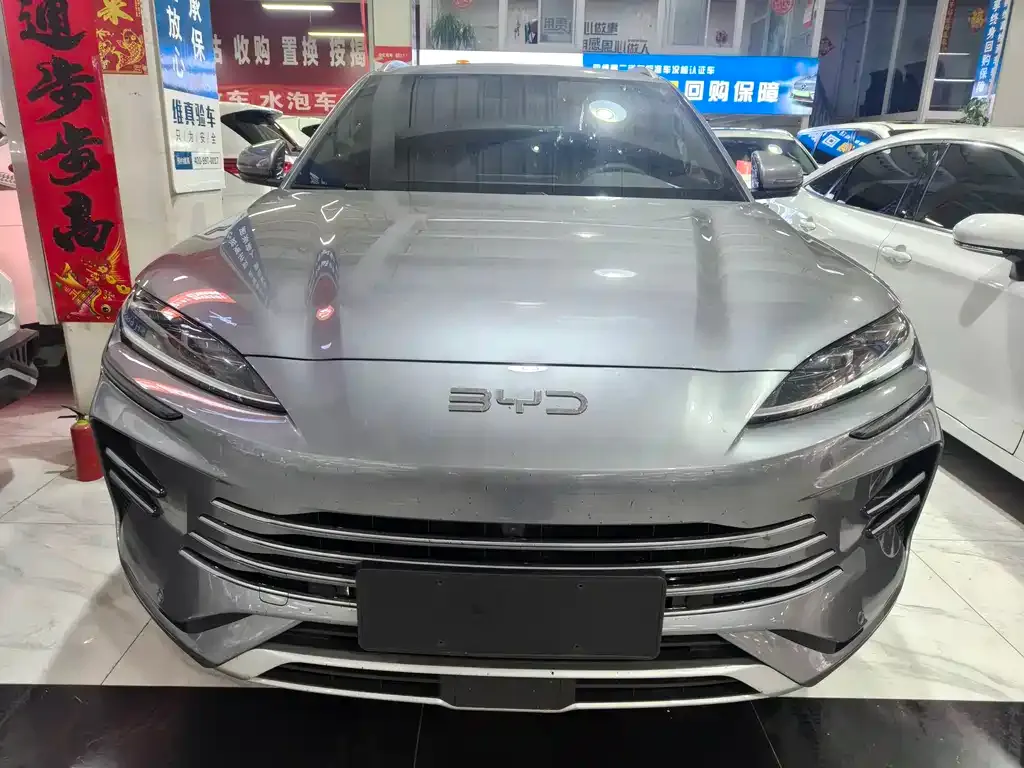 BYD PLUS New Energy 2024 из CN, фото 2