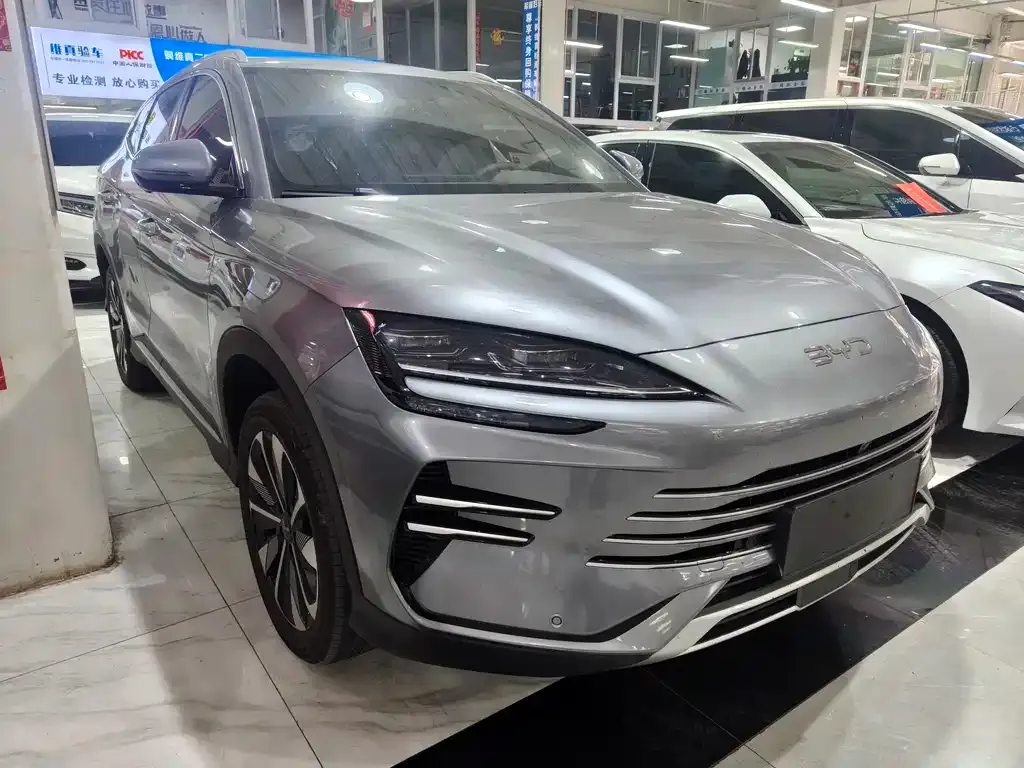 BYD PLUS New Energy 2024 из CN, фото 3