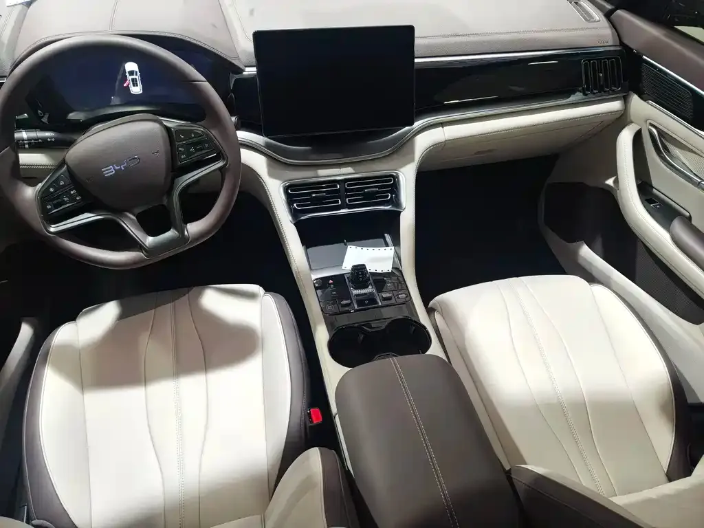 BYD PLUS New Energy 2024 из CN, фото 8
