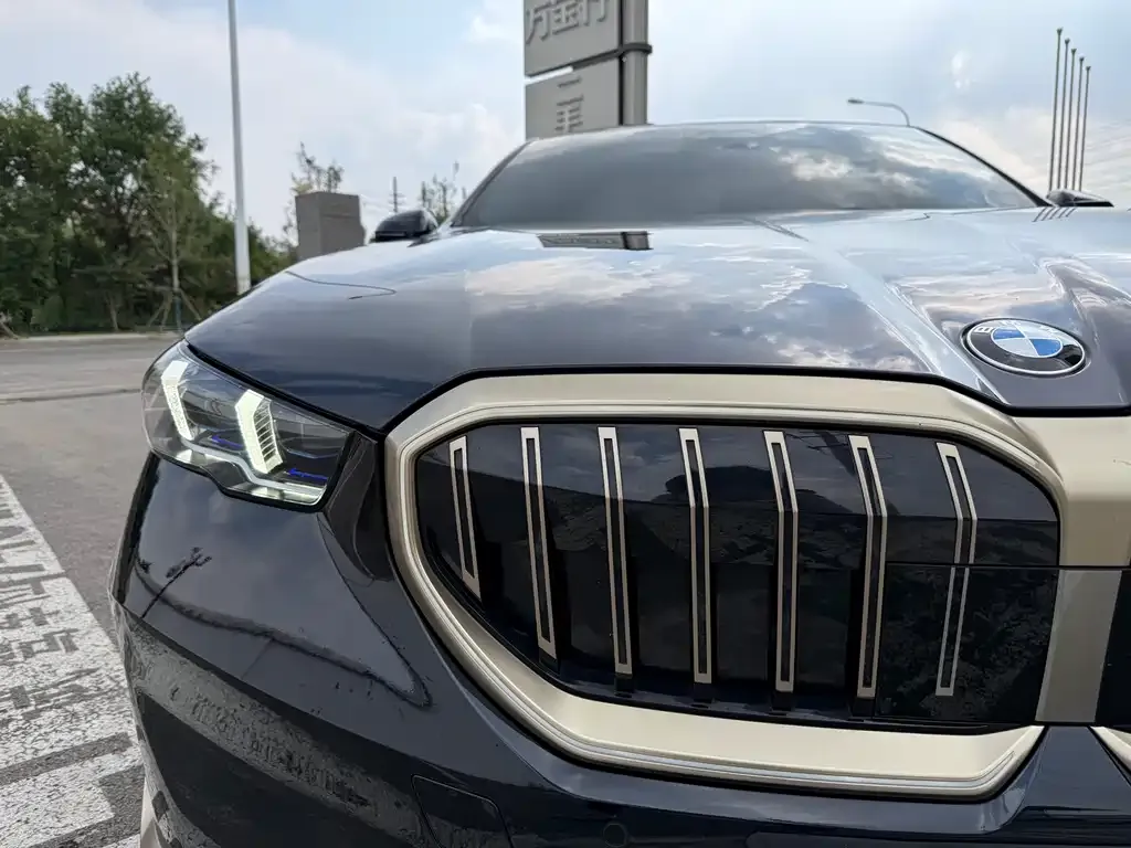 BMW 5 Series 2024 из CN, фото 10