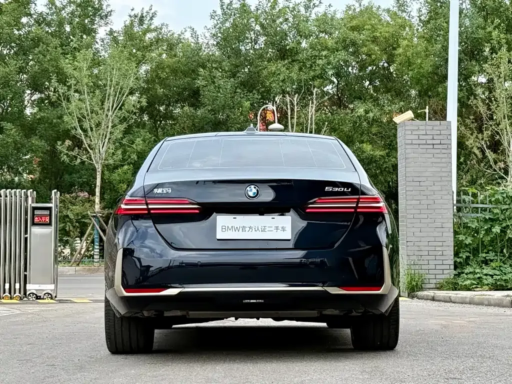 BMW 5 Series 2024 из CN, фото 4
