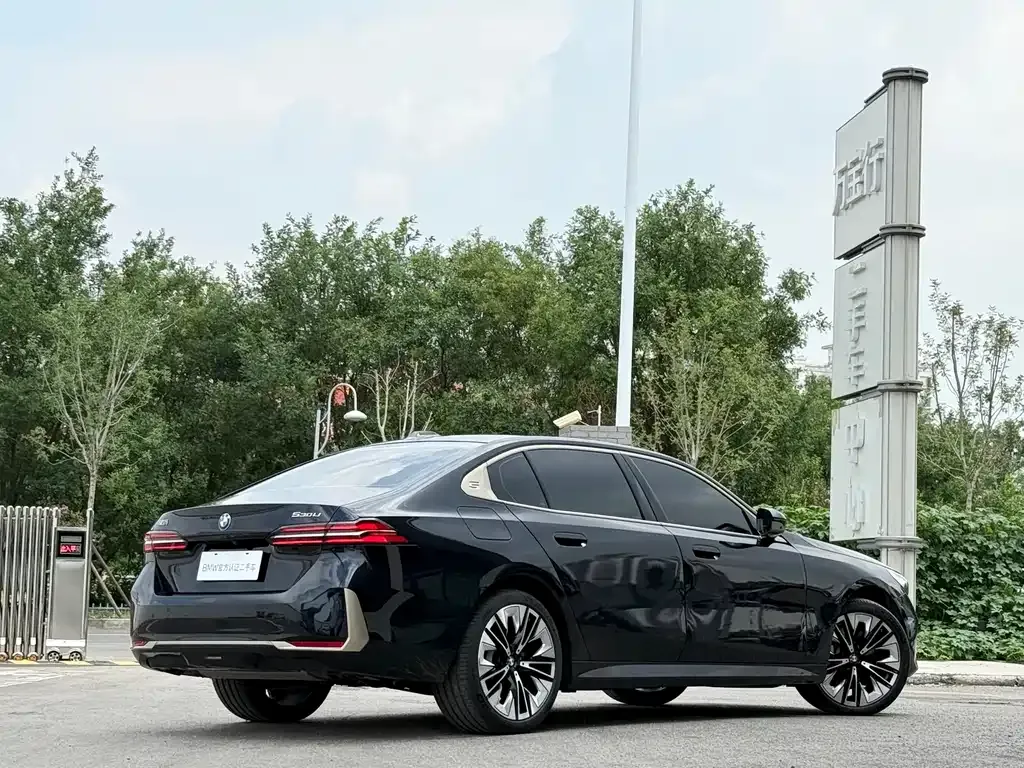 BMW 5 Series 2024 из CN, фото 6